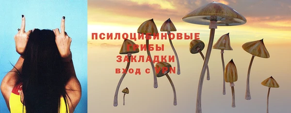 mix Новодвинск