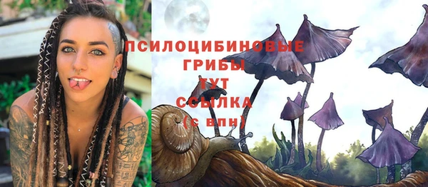 mix Новодвинск
