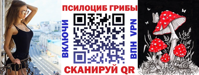 сколько стоит  Северо-Курильск  Псилоцибиновые грибы MAGIC MUSHROOMS 