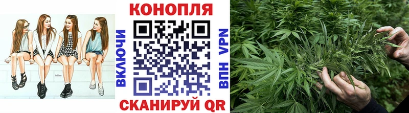 Шишки марихуана конопля  Северо-Курильск 